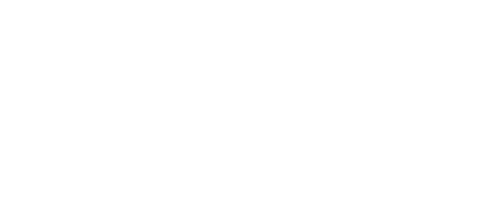 Estudio Falomir Logo
